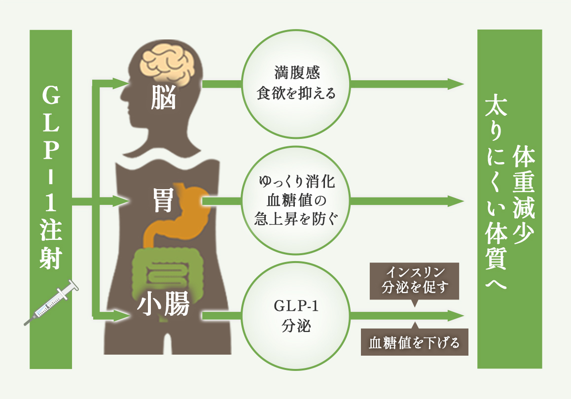 ダイエット注射